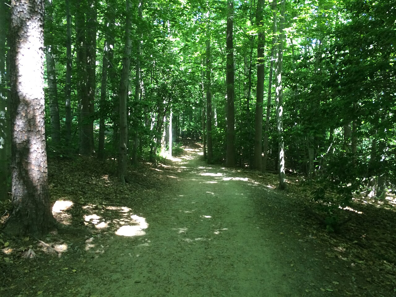 Burke Lake Park Campground