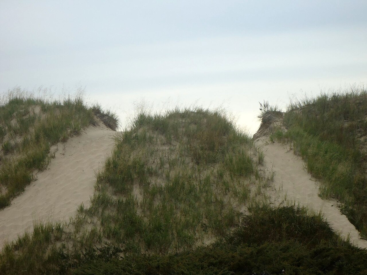 Kohler-Andrae State Park