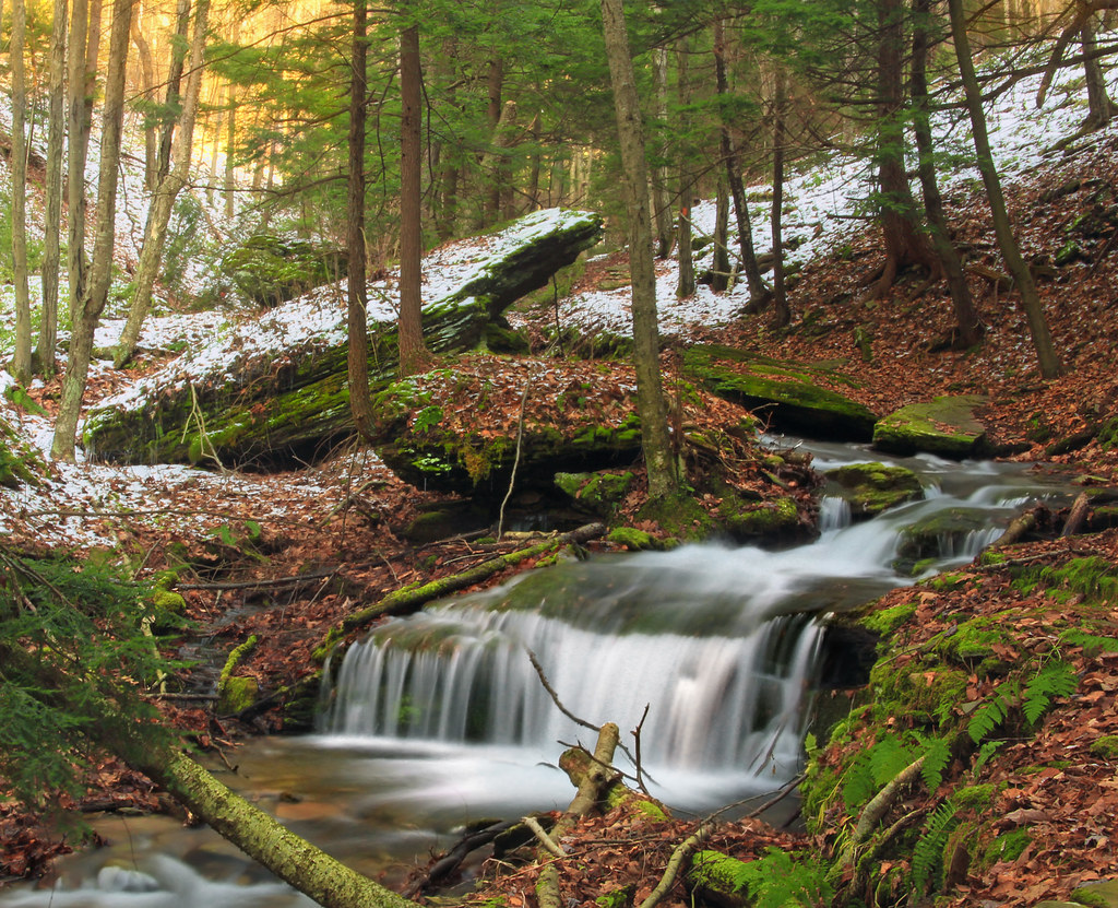 Wikimedia Commons
