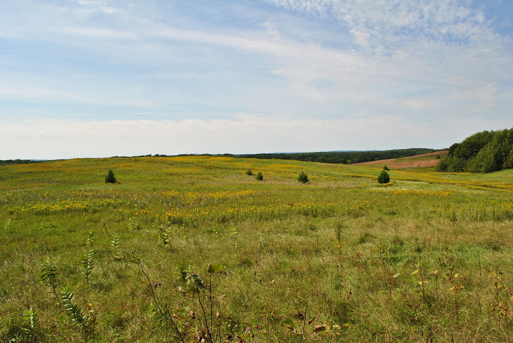 Moraine View Campground