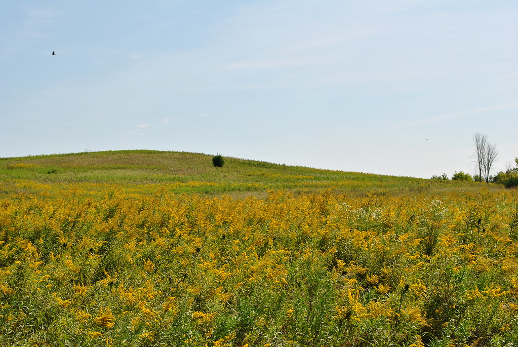 Moraine View Campground