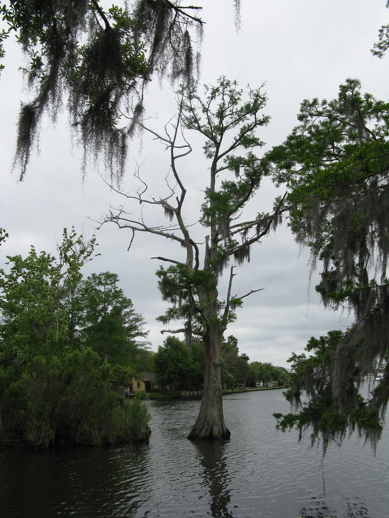 Fairview-Riverside Campground