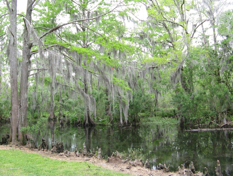 Fairview-Riverside Campground