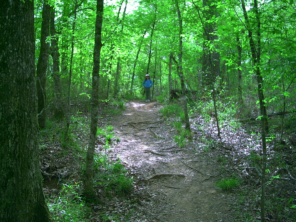 Chicot Campground