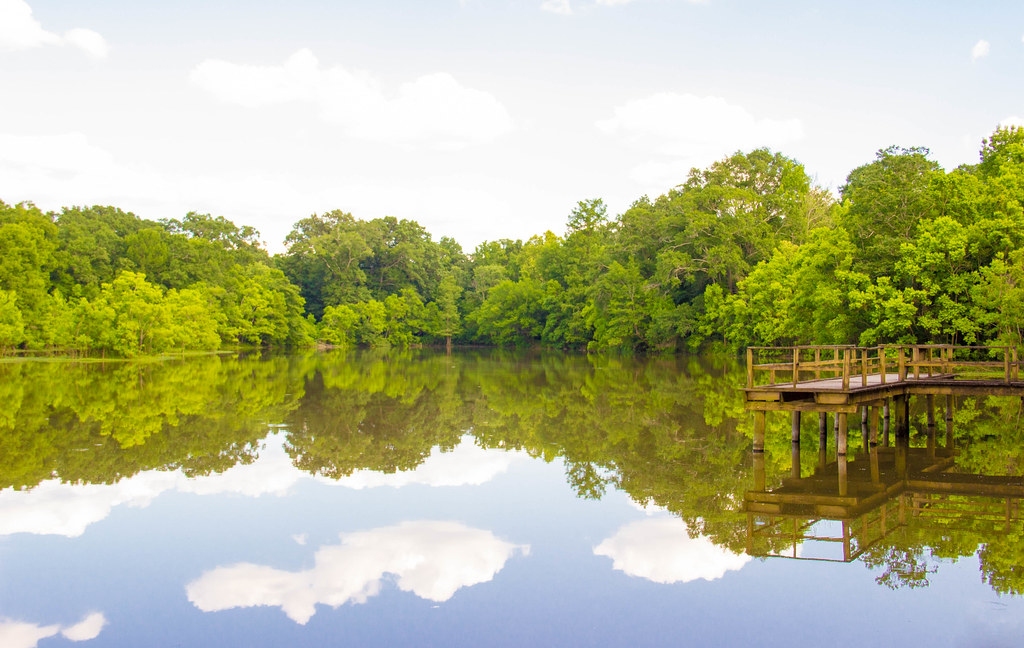 Lefleur's Bluff State Park Mayes Lake Campground
