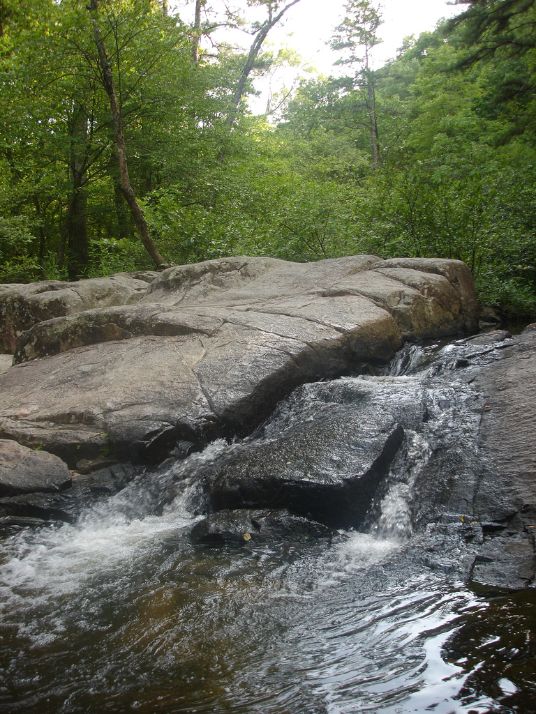 Wikimedia Commons