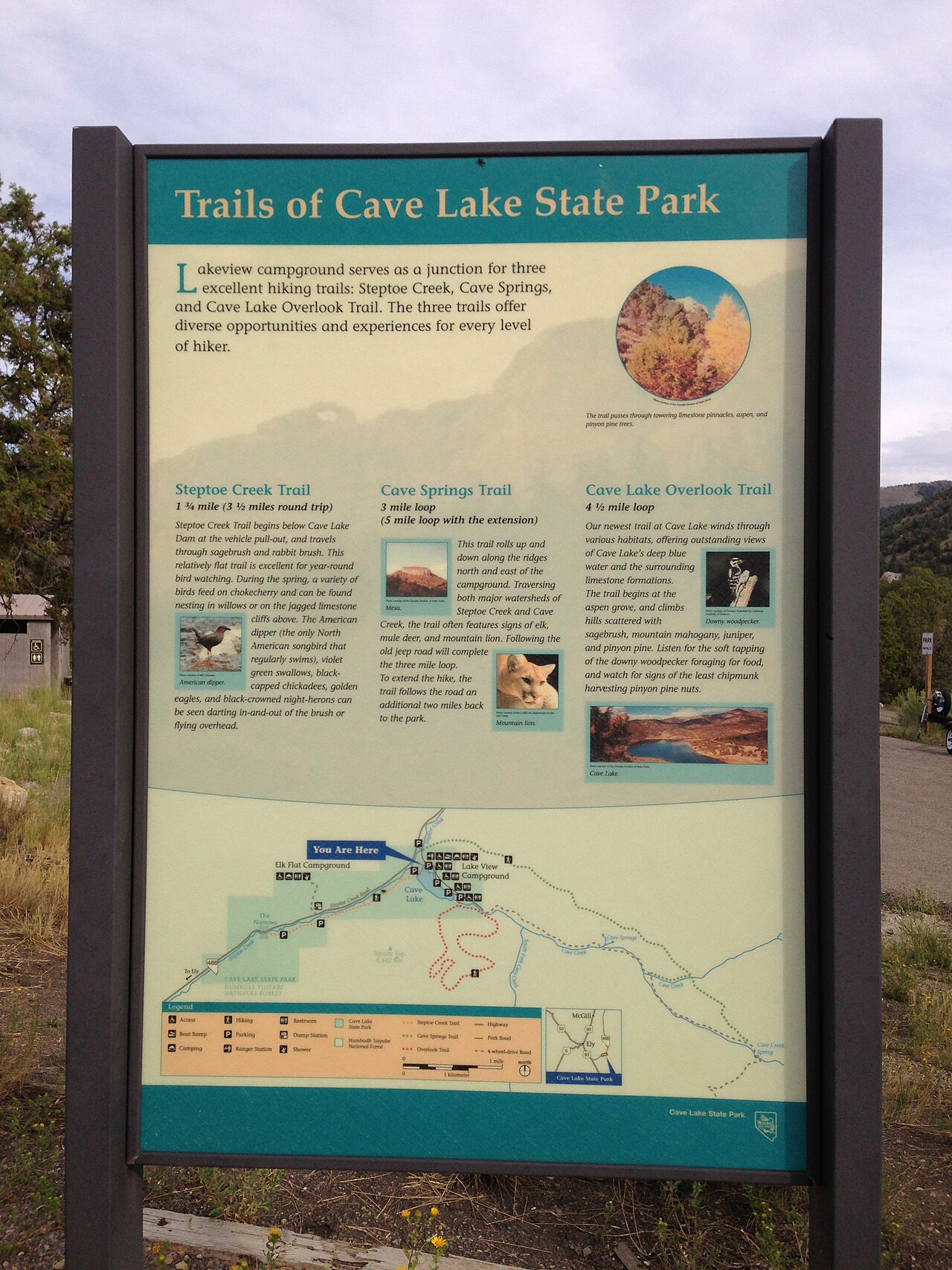Cave Lake Campground