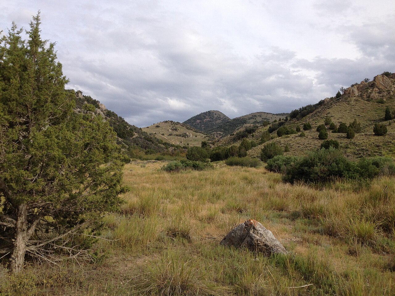 Wikimedia Commons
