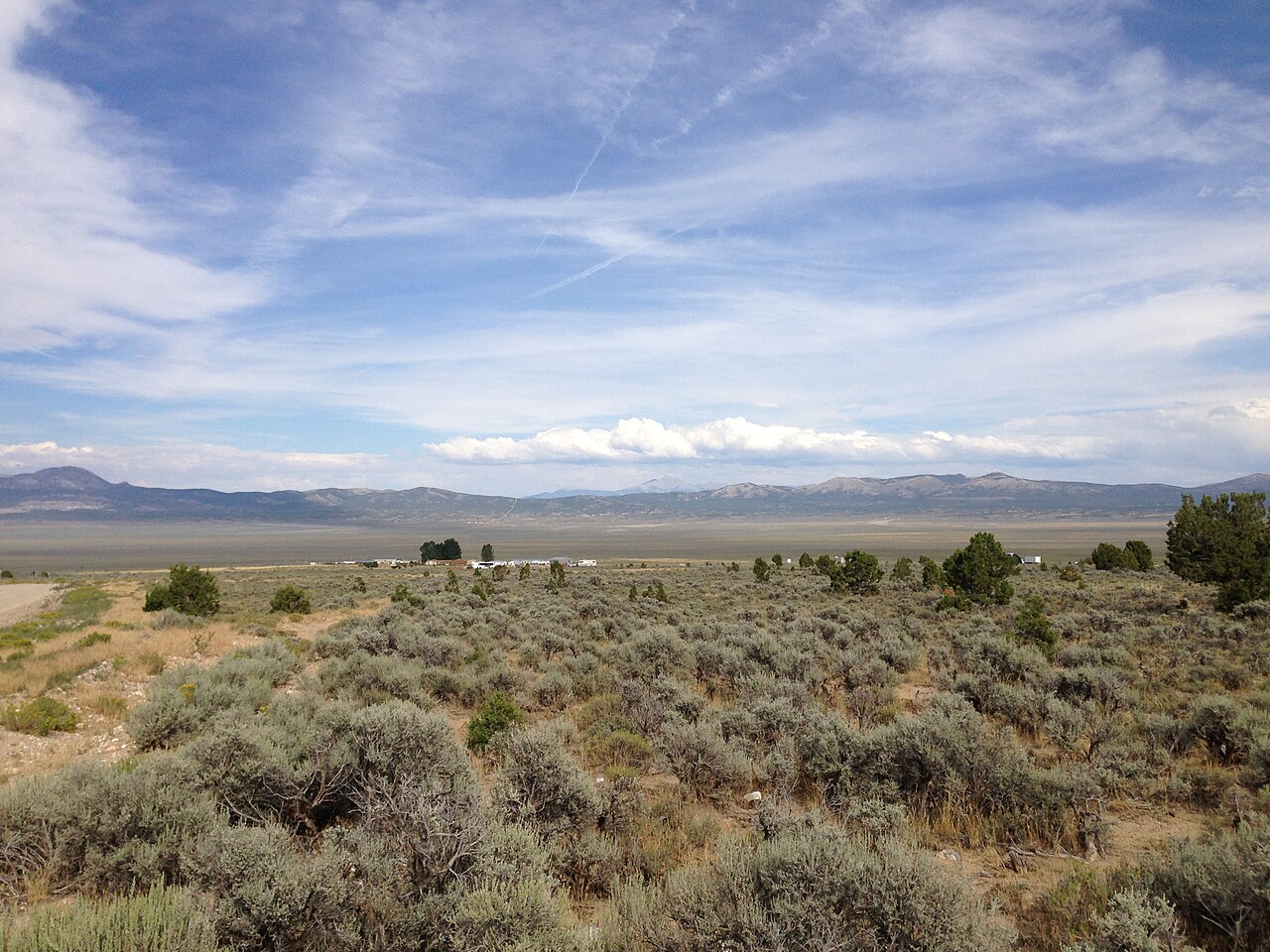Wikimedia Commons
