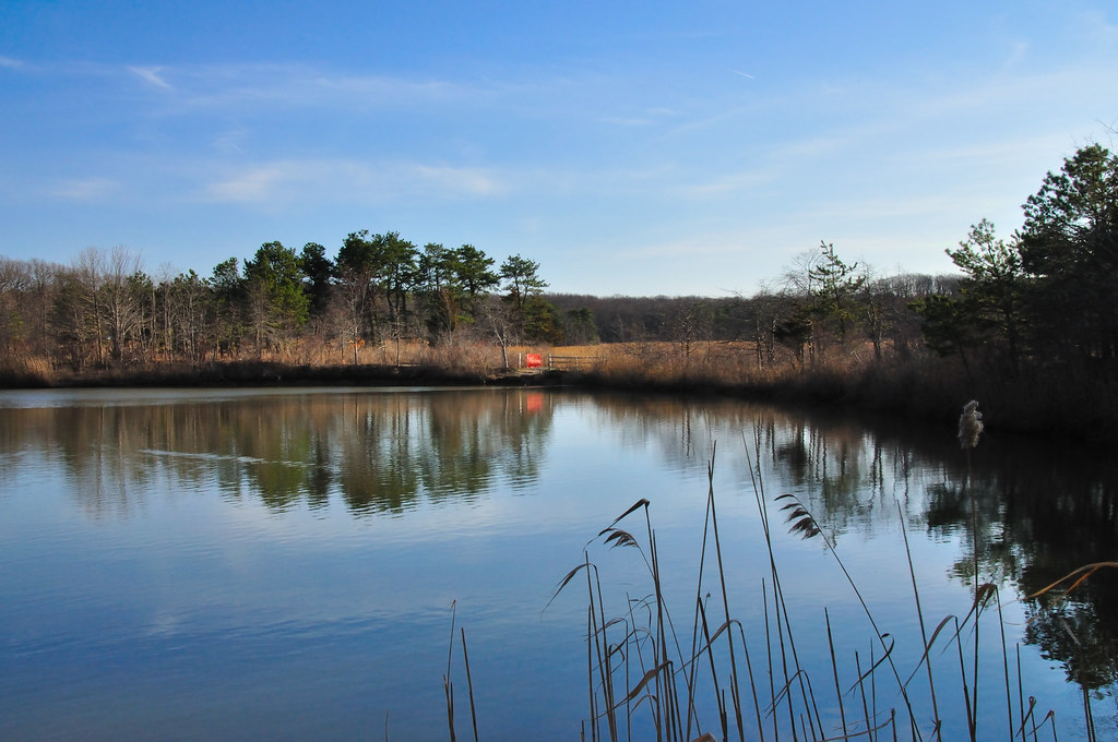 Cheesequake Campground