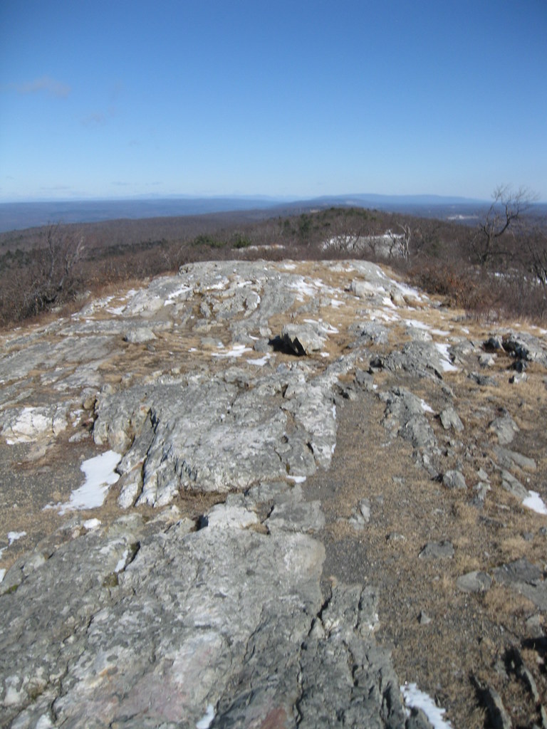 Wikimedia Commons