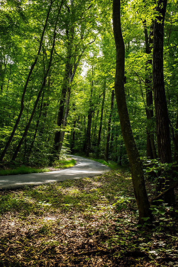 Voorhees Campground