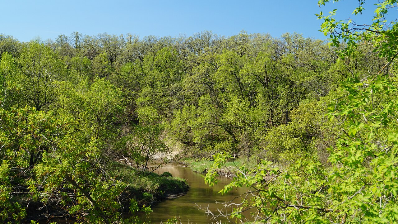 Turtle River Campground