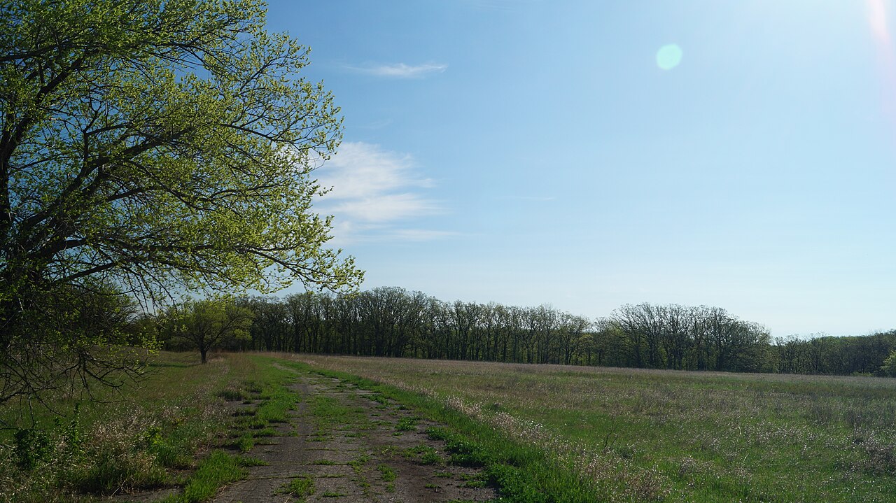 Turtle River Campground