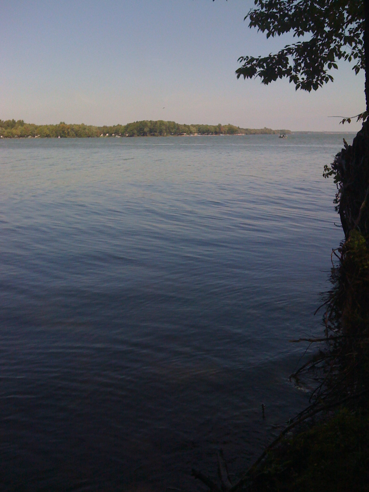 Bayview Allotment- Shoreline Campground
