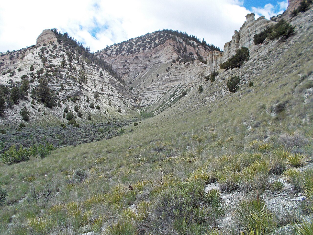 Green River Float-In Campsites