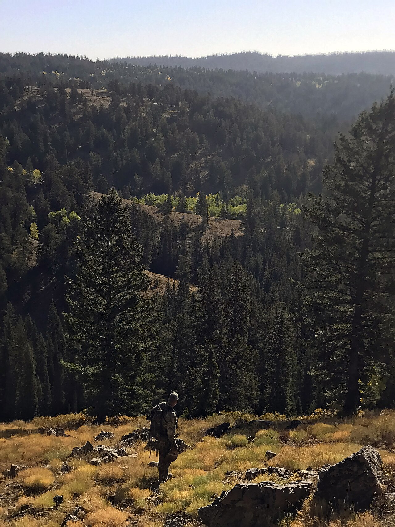 Big Elk