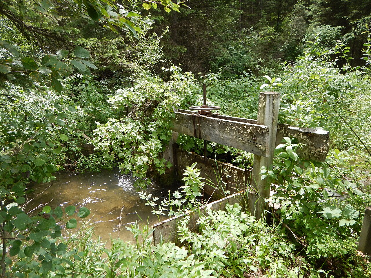 Wikimedia Commons