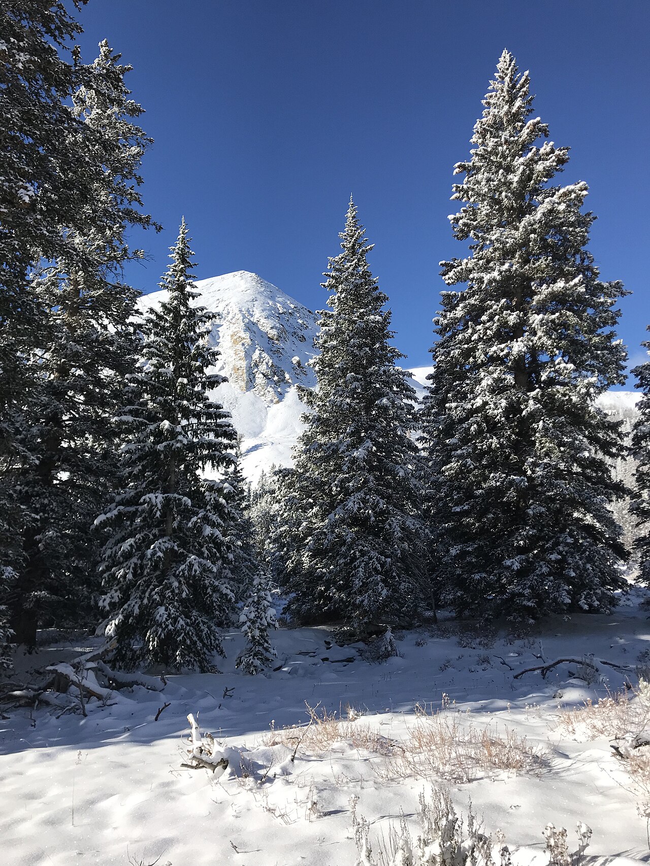 Thatcher Campground