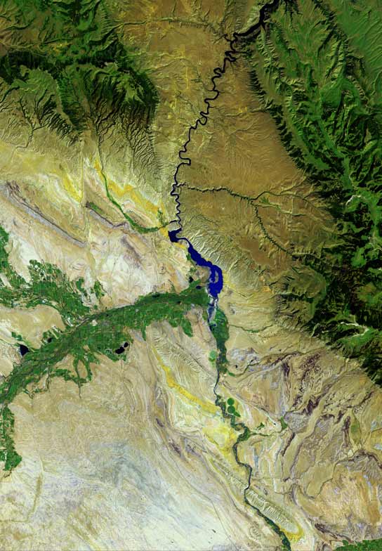 Wikimedia Commons
