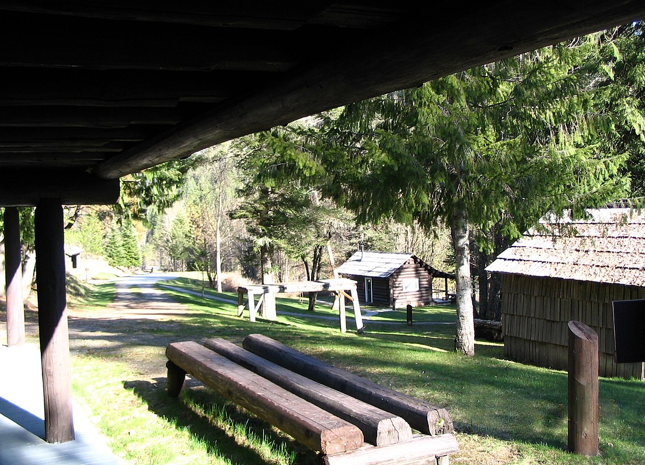 Wikimedia Commons