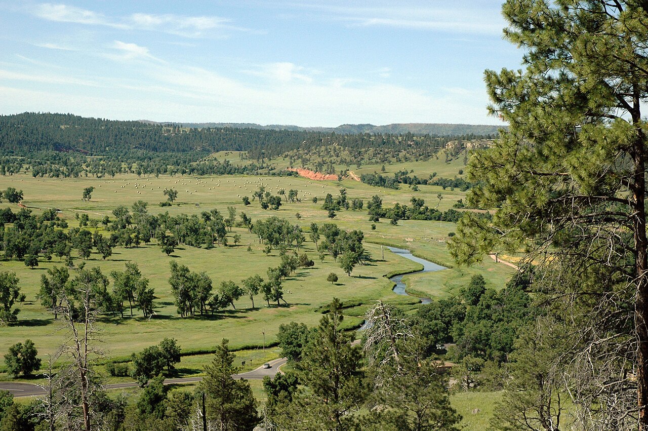 Wikimedia Commons