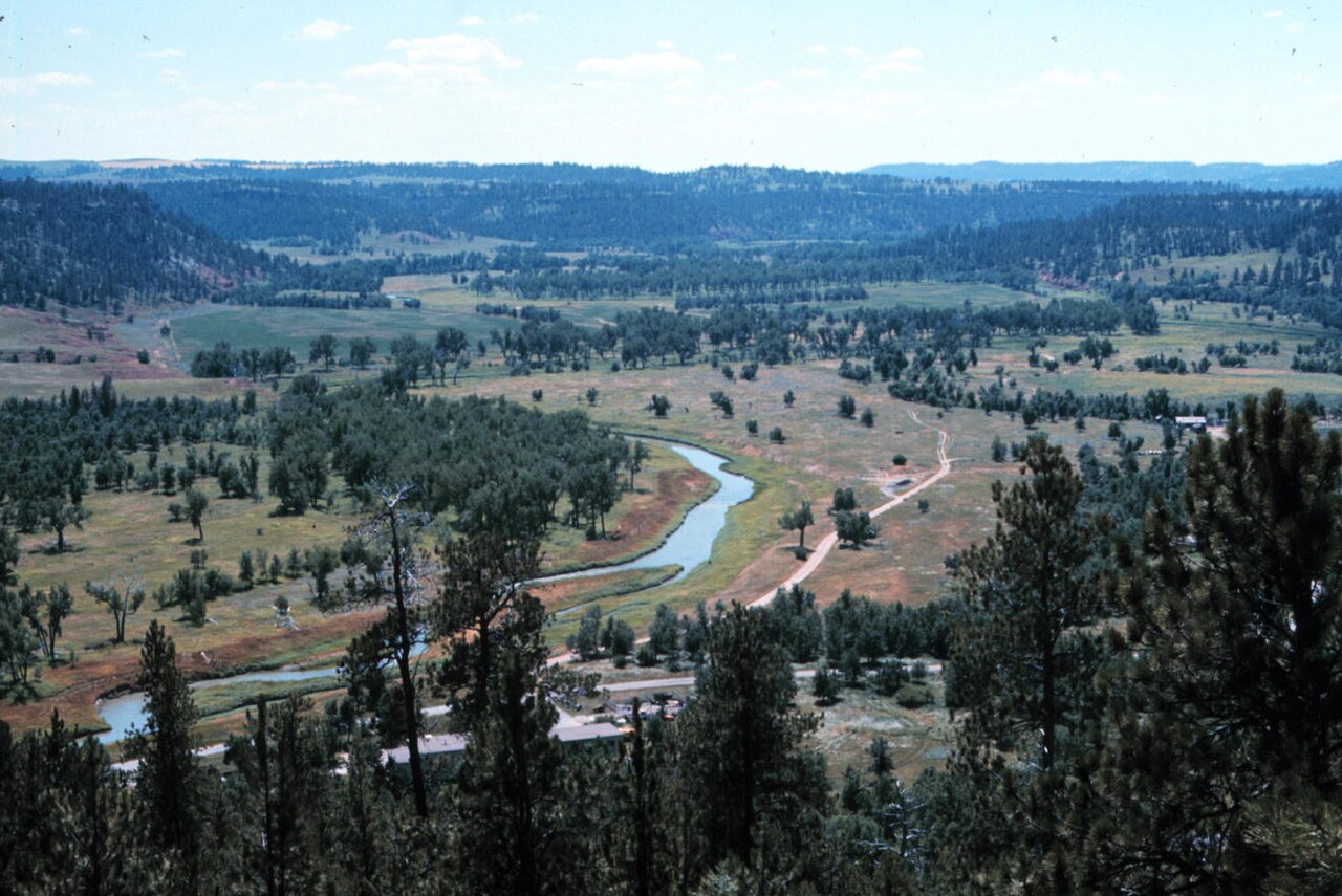 Wikimedia Commons
