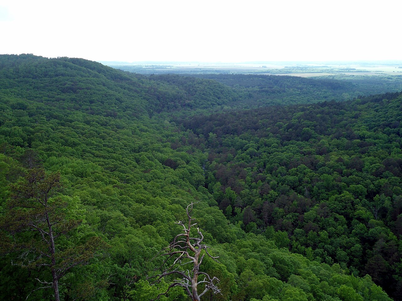 Petit Jean State Park