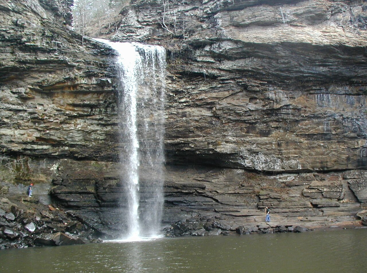Wikimedia Commons