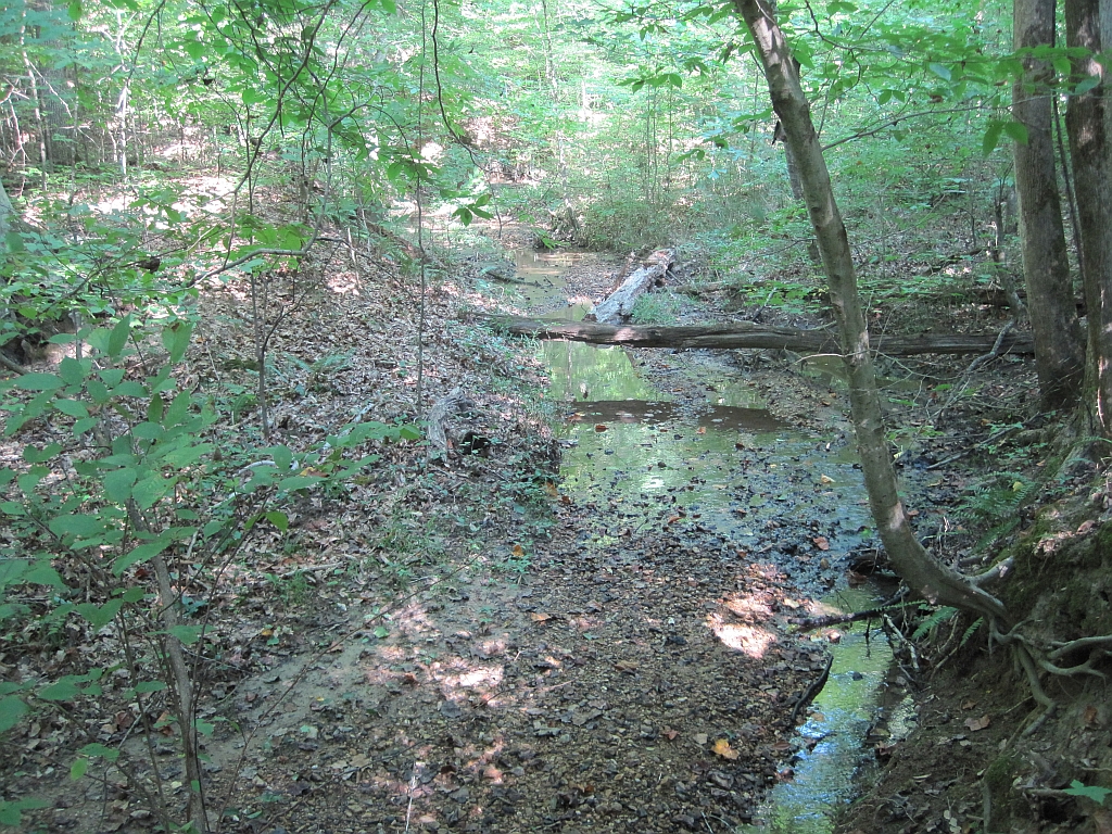 Village Creek State Park