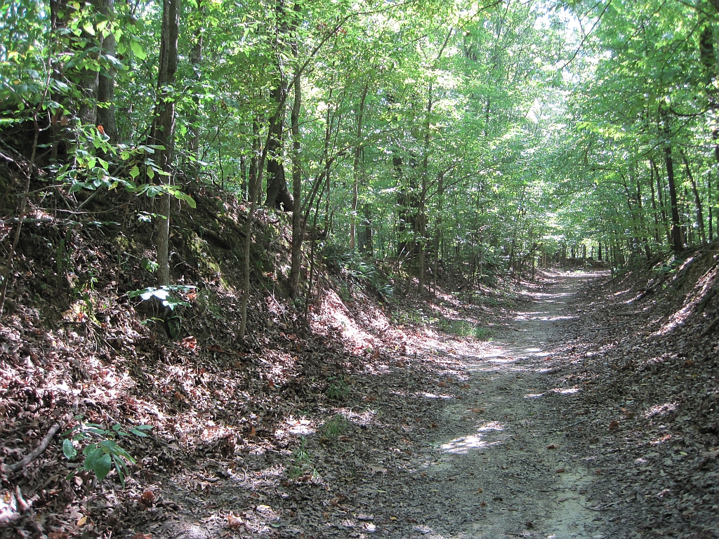 Village Creek State Park