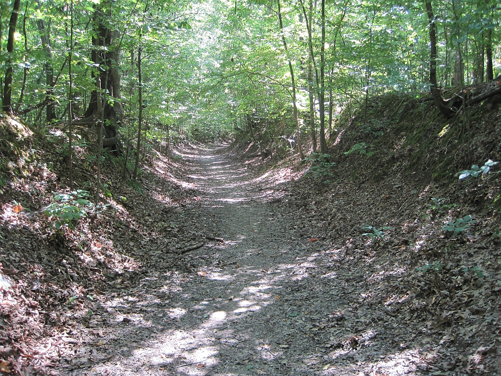 Village Creek State Park
