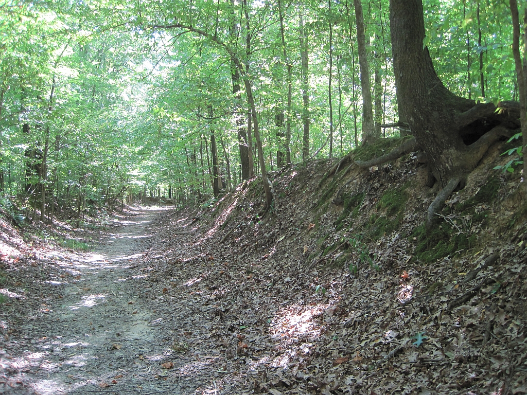 Village Creek State Park