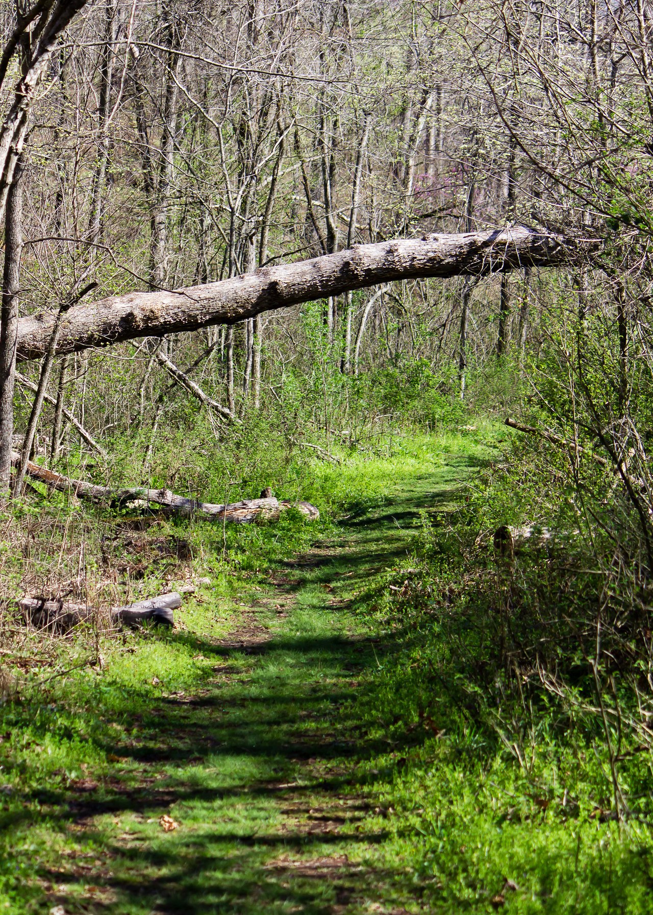 Hobbs State Park Conservation Area