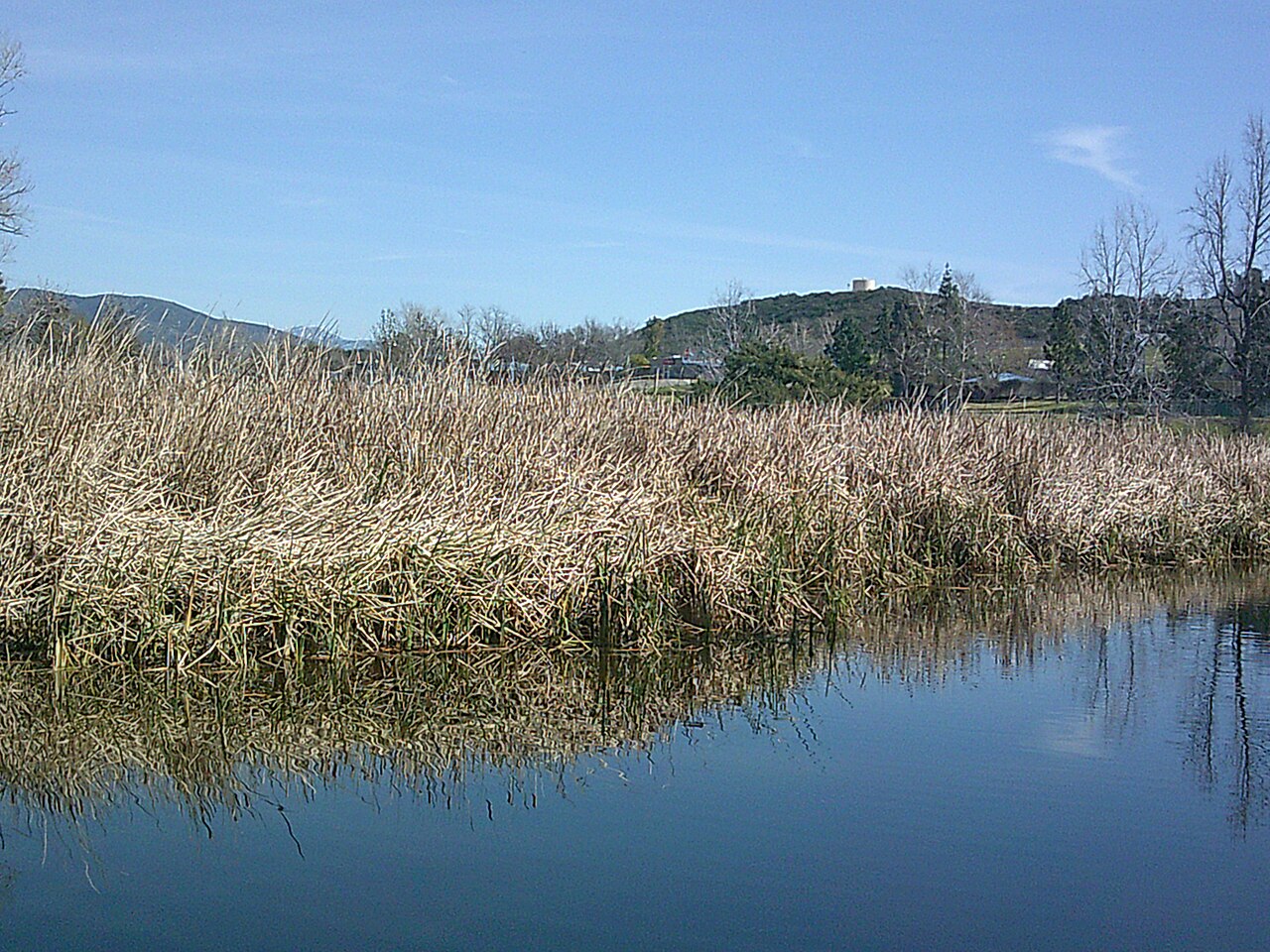 Wikimedia Commons
