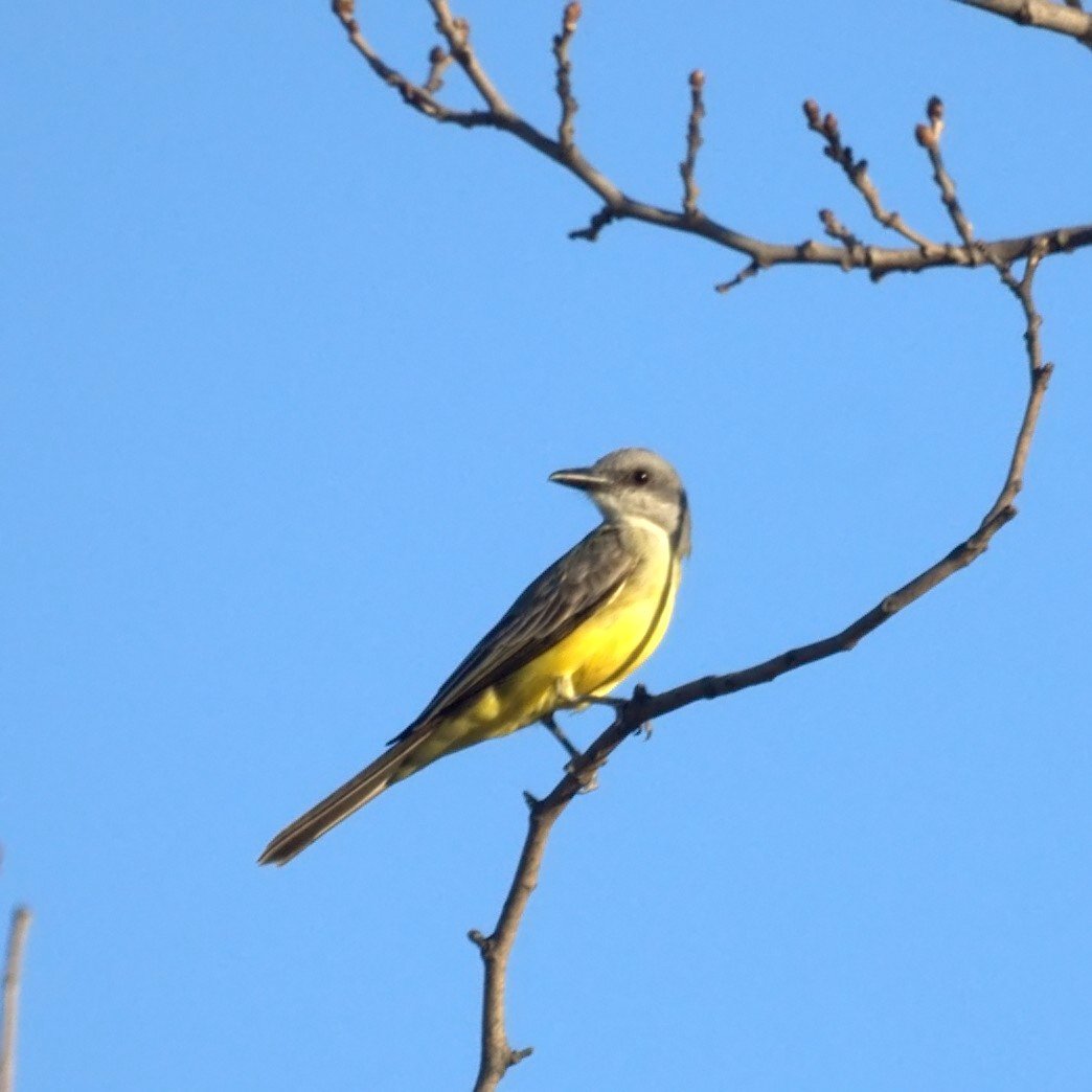 Prado Regional Park