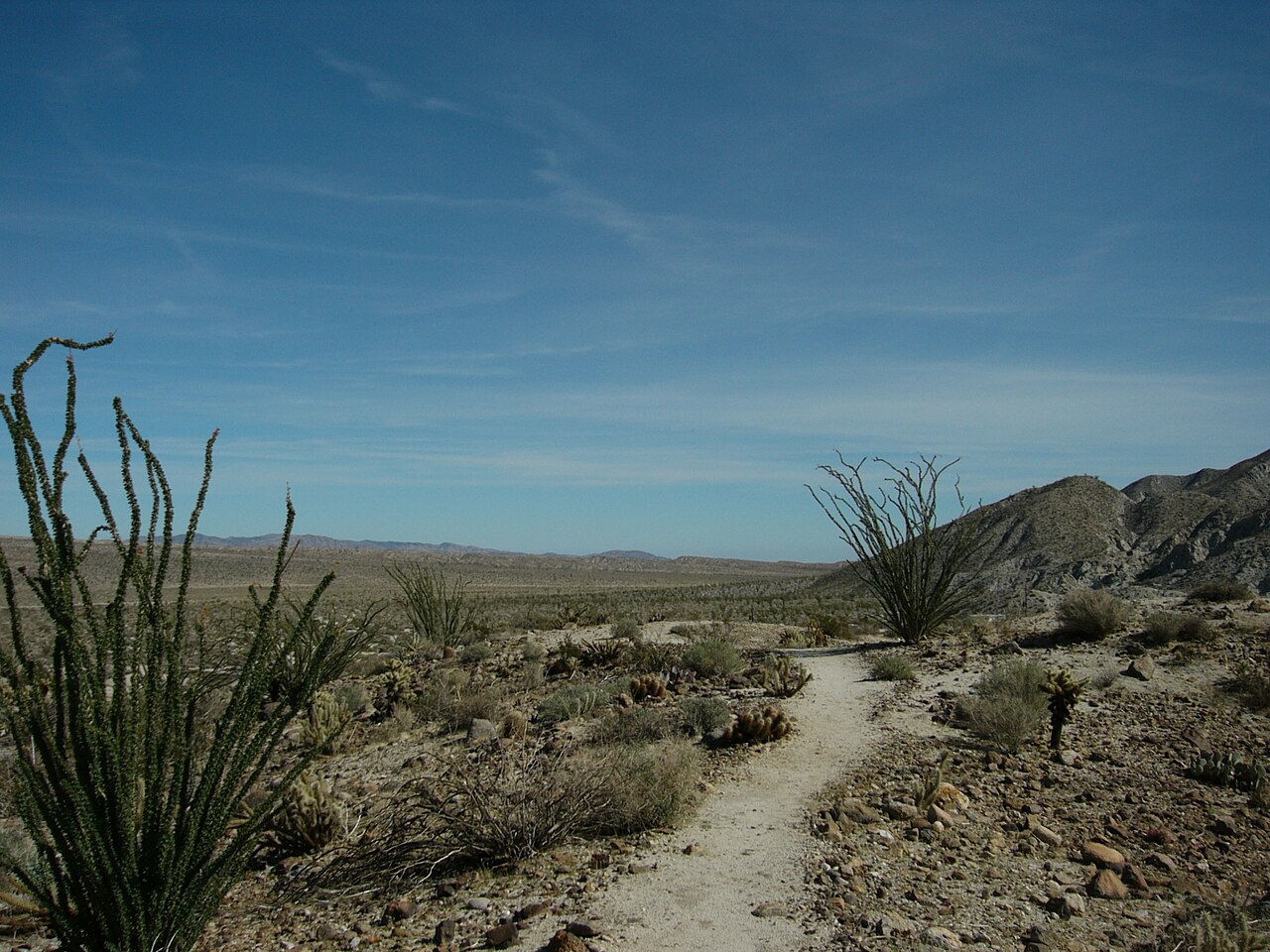 Agua Caliente County Park