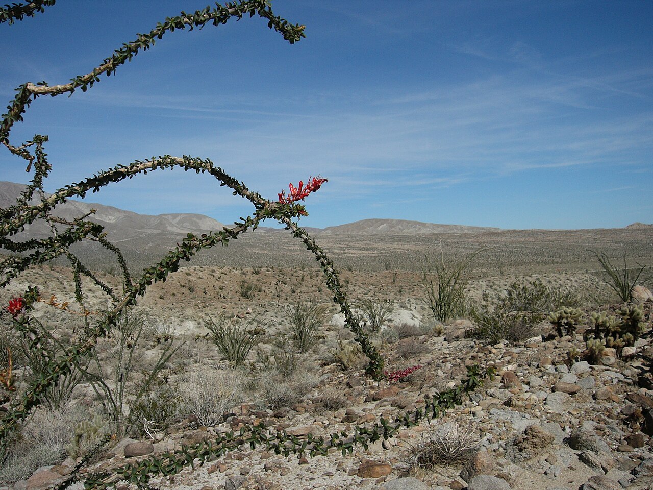Wikimedia Commons