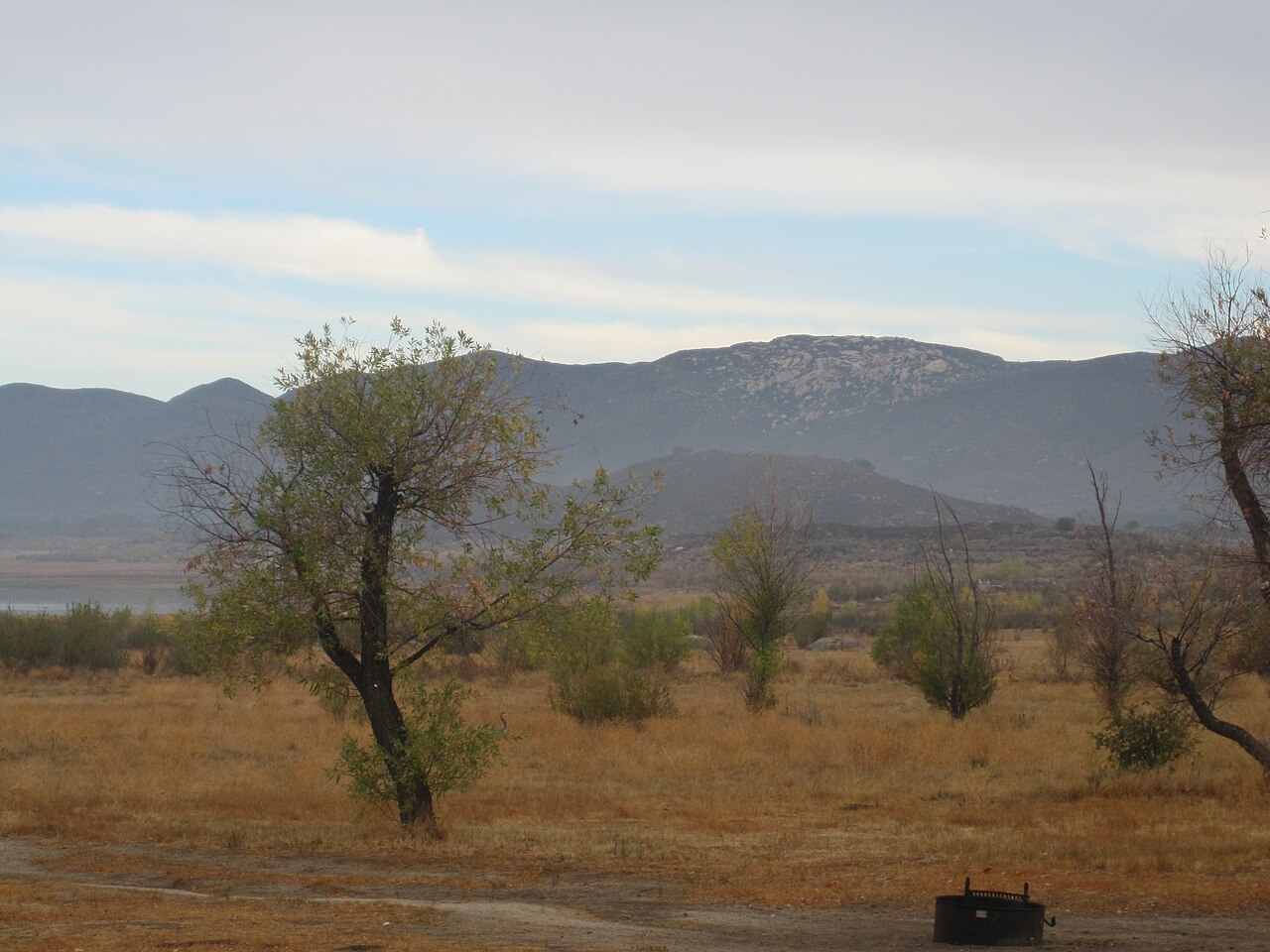 Wikimedia Commons