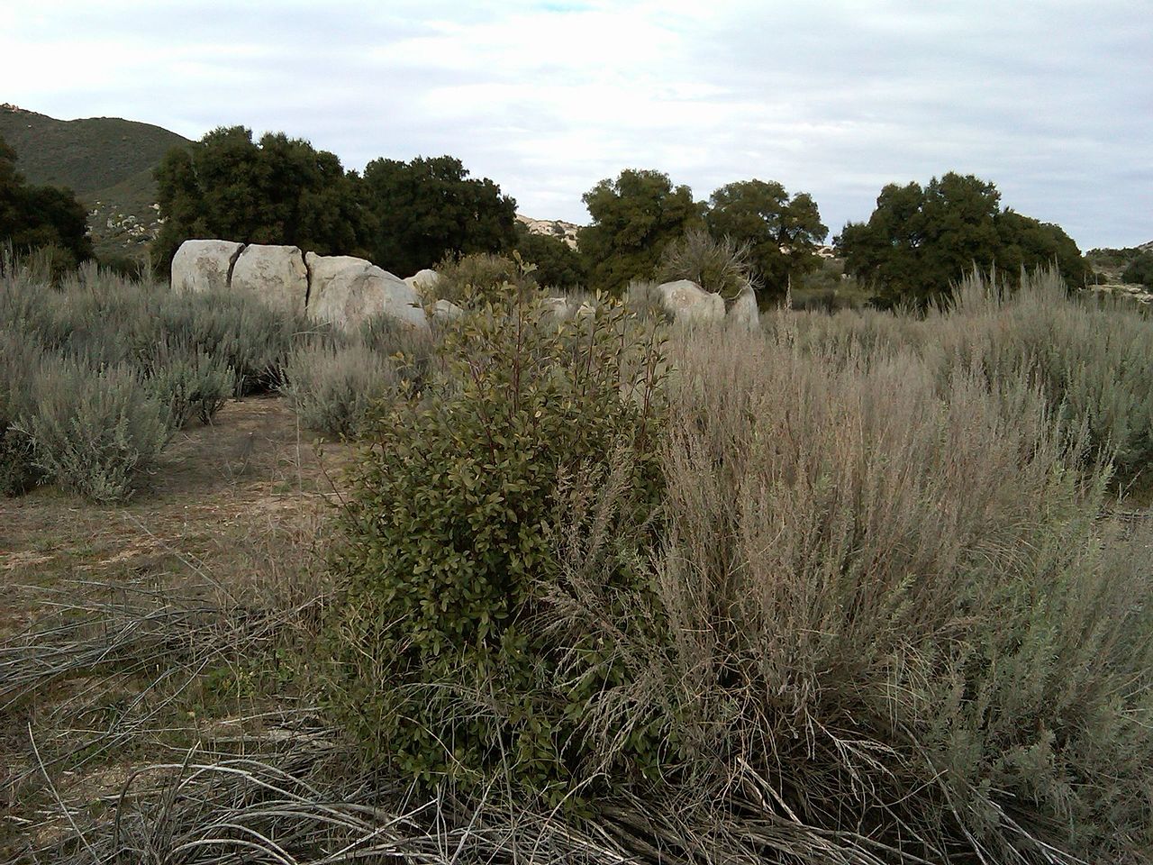 Lake Morena County Park