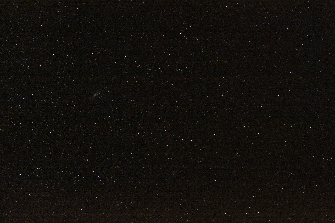 Wikimedia Commons