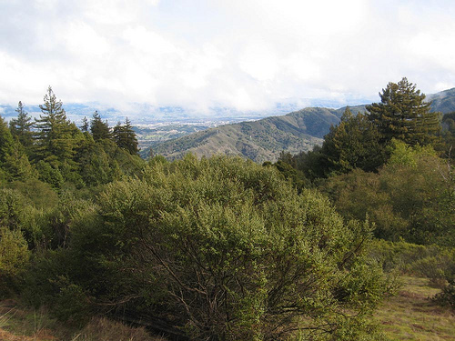Mt. Madonna