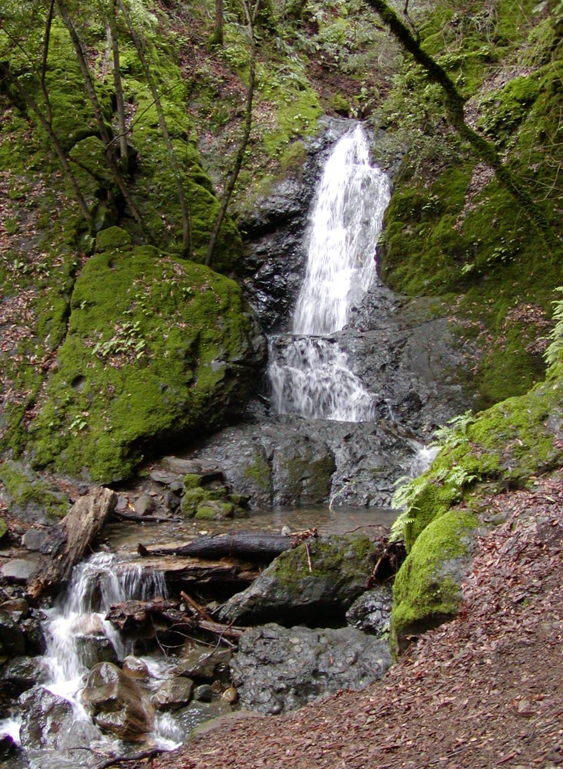 Uvas Canyon