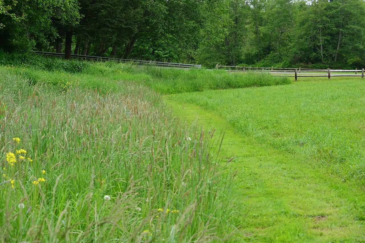 River Meadows Park