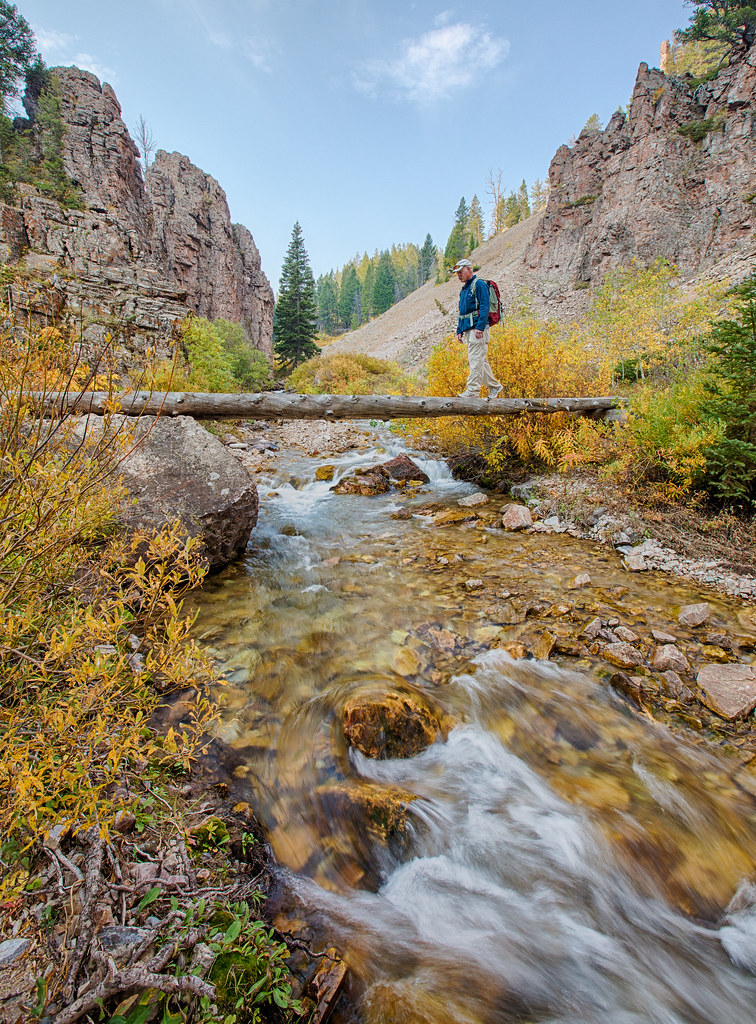 Swan Creek Recreation Area Campground