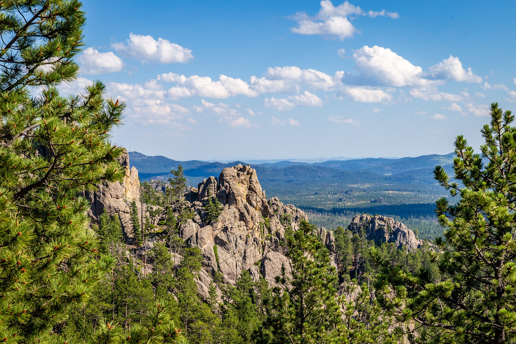 Custer Campground