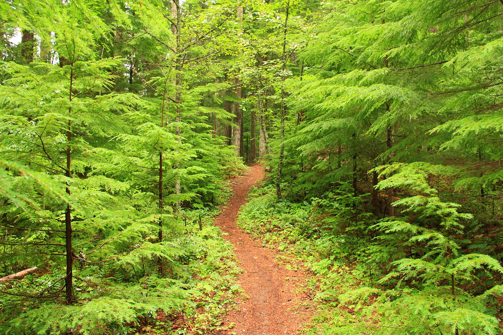 North Point Recreation Area Campground
