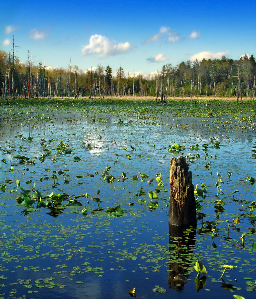Holly River Campground