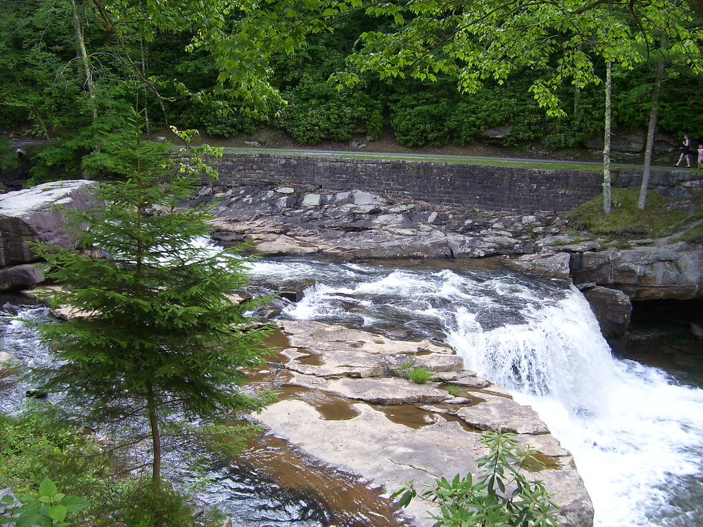 Wikimedia Commons