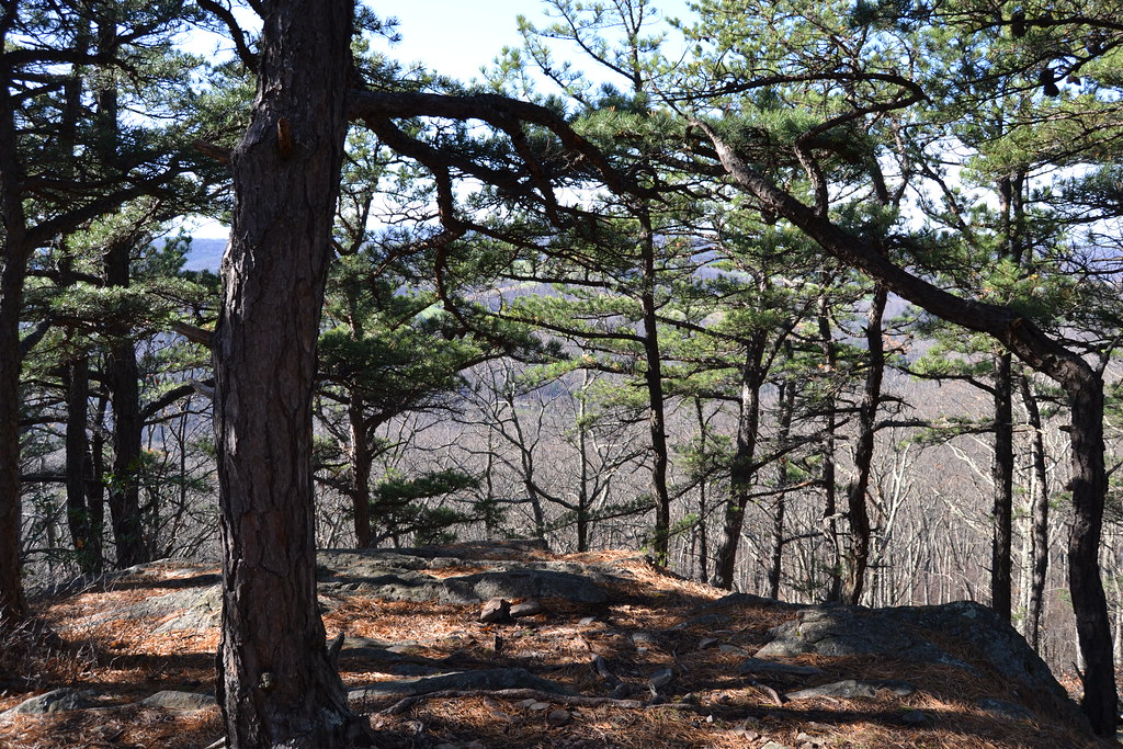 Lost River Campground